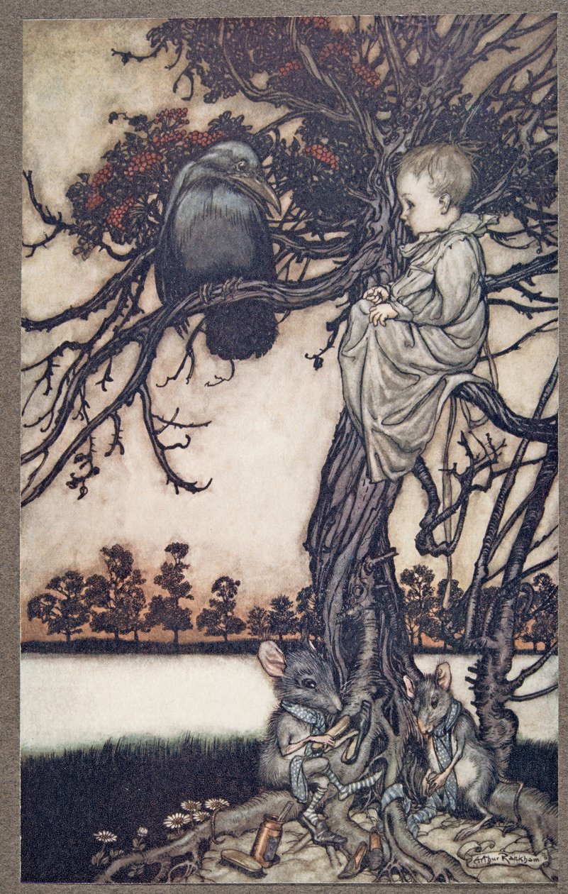 Przedstaw swoją dziwną sprawę przed Old Solomon Caw, z Piotrusia Pana w Kensington Gardens JM Barrie (1860 - 1937), wyd. 1906 autorstwa Arthur Rackham