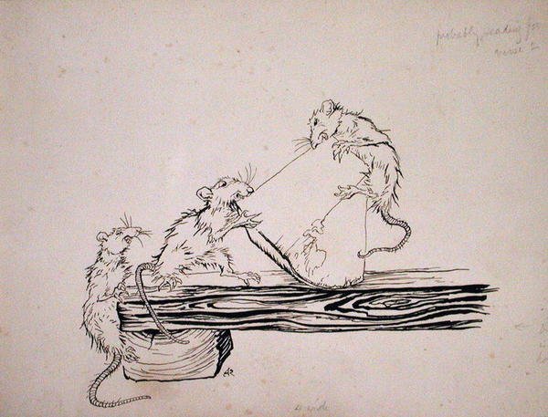 „Rats!...ate the cheese out of the kadzi!”, ilustracja z „The Pied Piper of Hamelin”, wersja autorstwa Roberta Browninga, opublikowana w 1934 r. (pióro i atrament na papierze) autorstwa Arthur Rackham