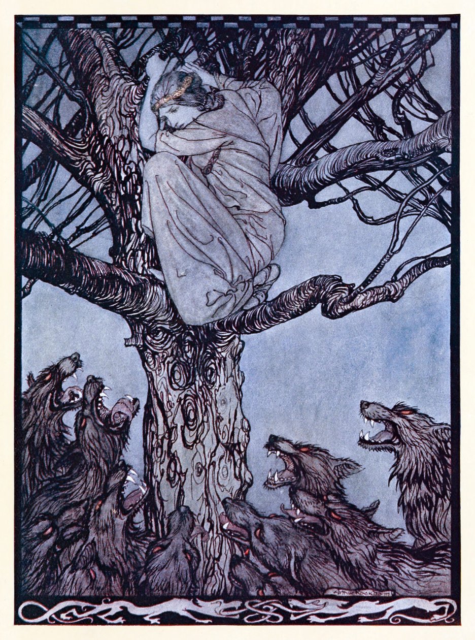 Spojrzała z gniewnym żalem na napiętą i warczącą hordę poniżej. z Zaloty Becfola w irlandzkich bajkach autorstwa Arthur Rackham