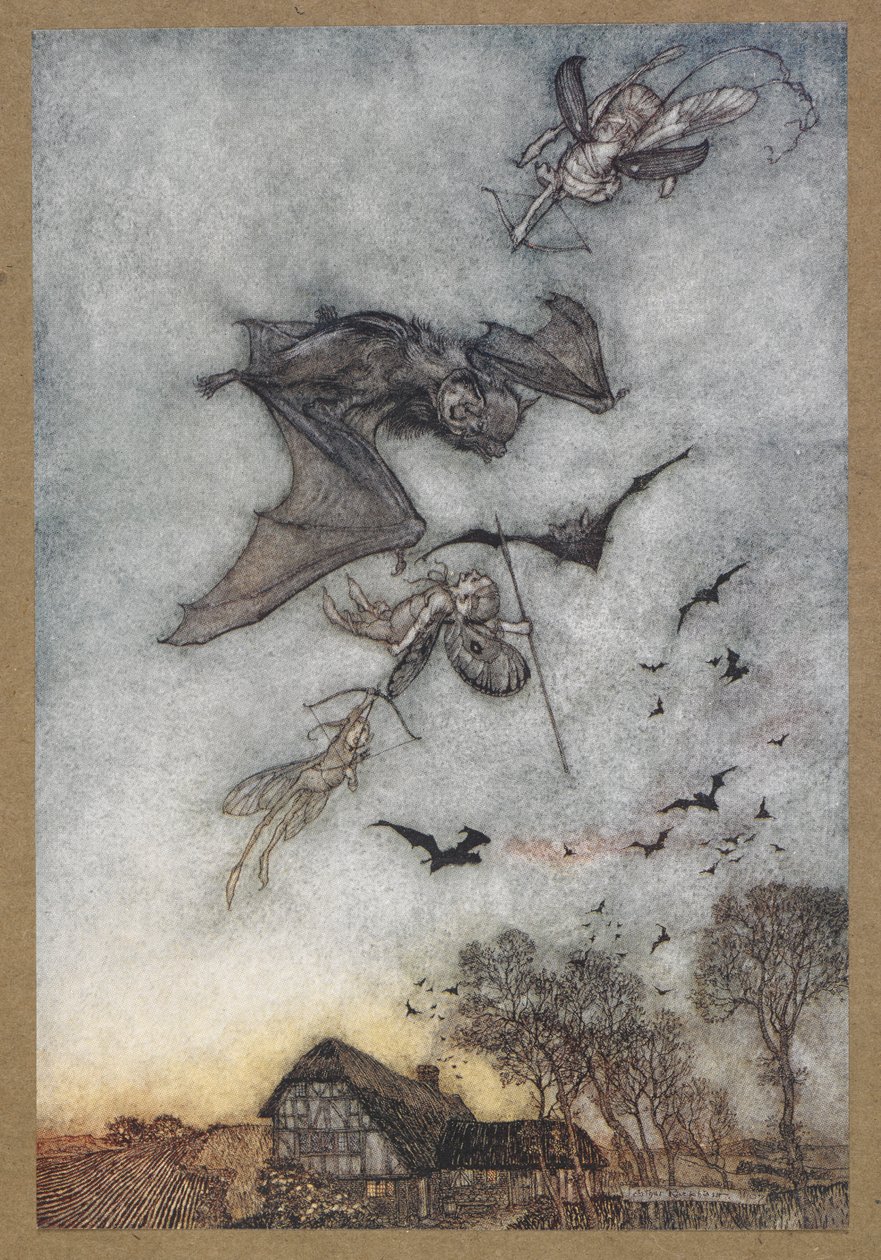 Jakaś wojna z vere-myszami o ich skórzane skrzydła. Kadr z filmu „Sen nocy letniej”. autorstwa Arthur Rackham