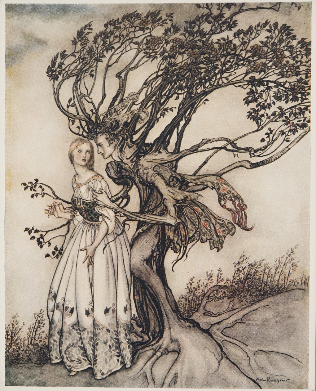 Stara kobieta w lesie, z Little Brother i Little Sister i innych opowieści braci Grimm, wyd. 1917 autorstwa Arthur Rackham