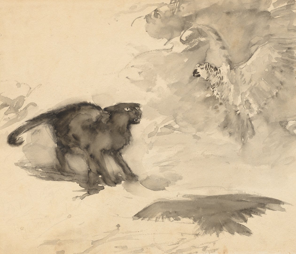 Papuga i kot (Szkic do „Dobranoc” Eleanor Gates) autorstwa Arthur Rackham