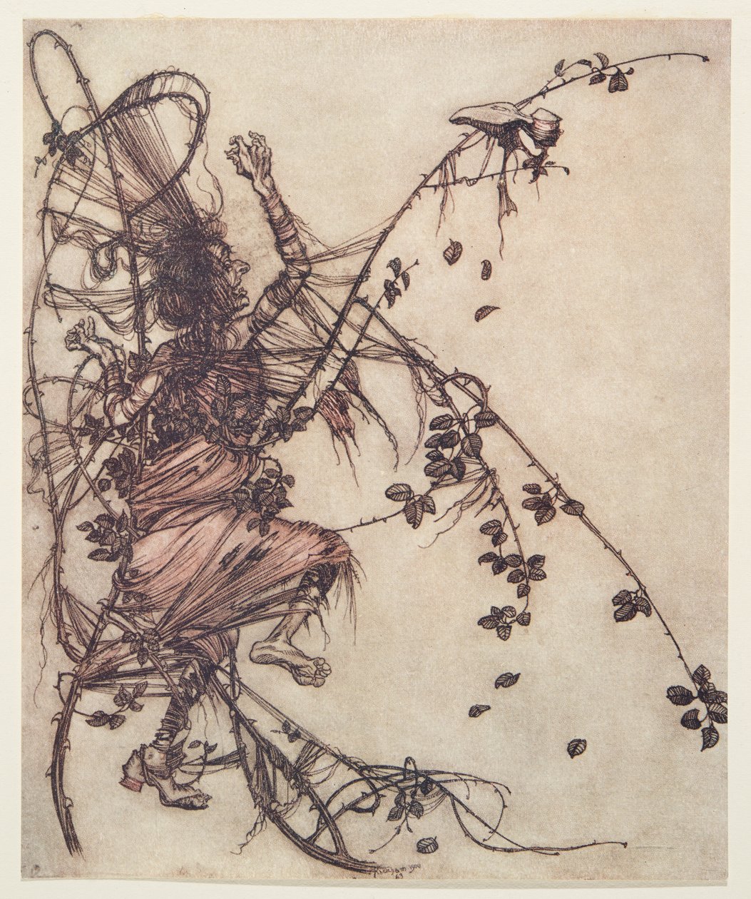 Im szybciej grał, tym wyżej musiała skakać z pubu The Fairy Tales of the Brothers Grimm. 1909 autorstwa Arthur Rackham