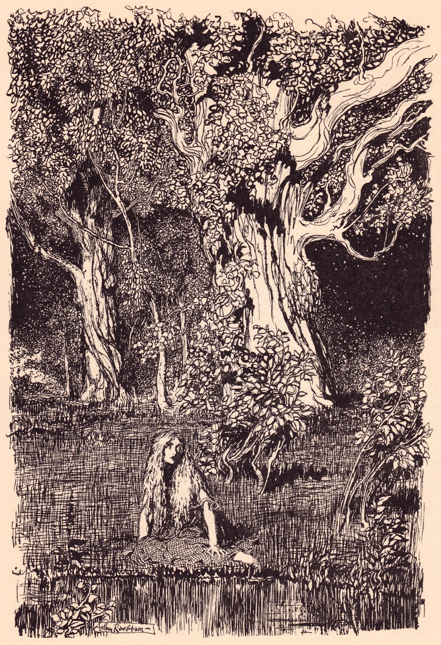 Siedziała tam i siedziałaby jeszcze długo, gdyby nie szelest i trzask w konarach najbliższego drzewa. Ilustracja autorstwa Arthura Rackhama z baśni Grimm The Goose Girl at the Well. autorstwa Arthur Rackham