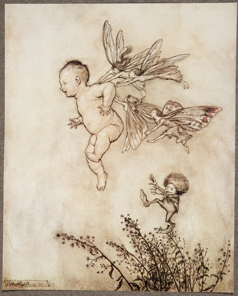 Wszyscy łaskotali go po ramieniu…, od Piotruś Pan w Kensington Gardens JM Barrie (1860 – 1937), wyd. 1906 autorstwa Arthur Rackham