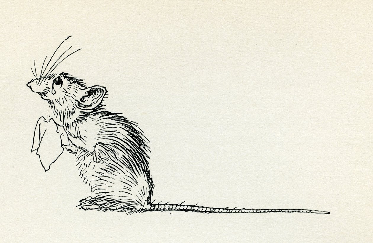 Titty Mouse i Tatty Mouse autorstwa Arthur Rackham