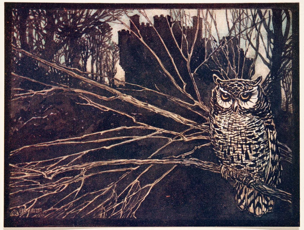 ? albo sowa piskliwa.., z Bajek braci Grimm, wyd. 1909 autorstwa Arthur Rackham