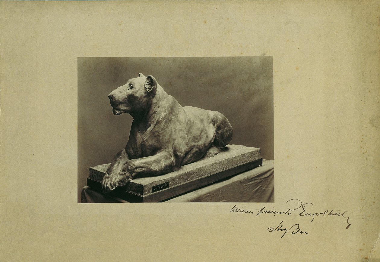 lwica autorstwa Arthur Strasser