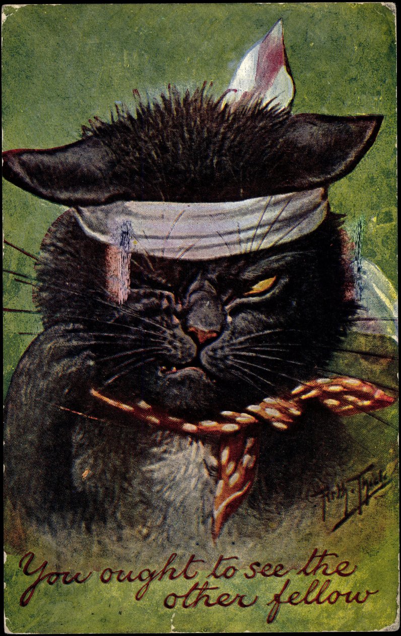 Cat, powinieneś zobaczyć tego drugiego faceta autorstwa Arthur Thiele