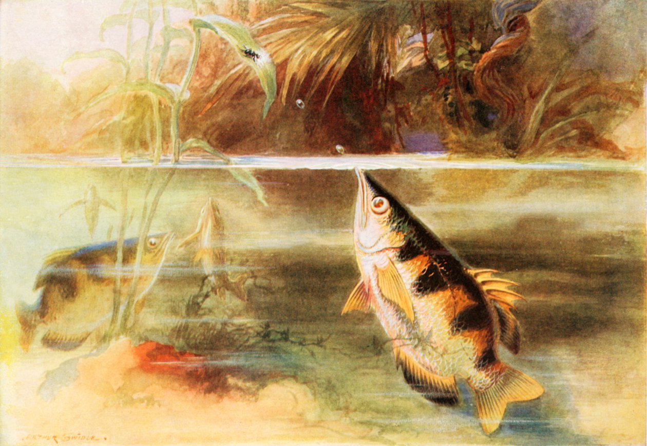  autorstwa Arthur Twidle