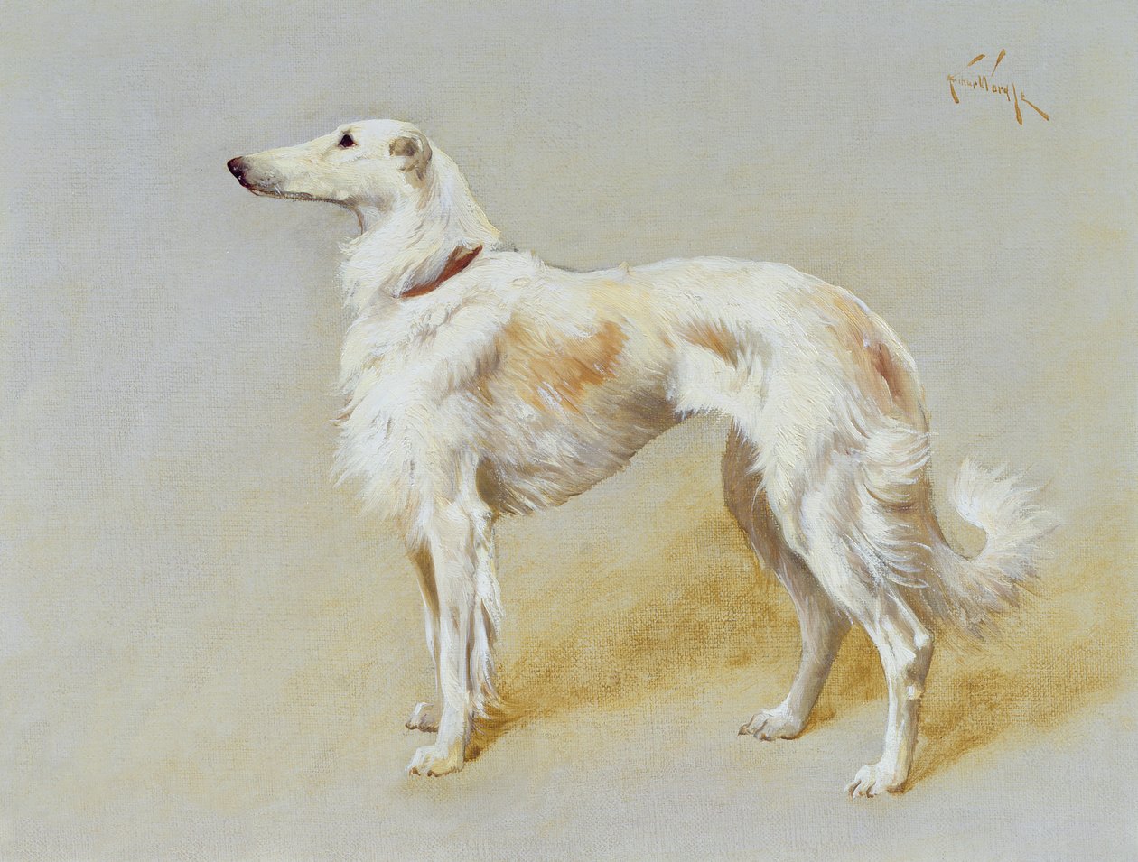 Pies Borzoj (olej na płótnie) autorstwa Arthur Wardle