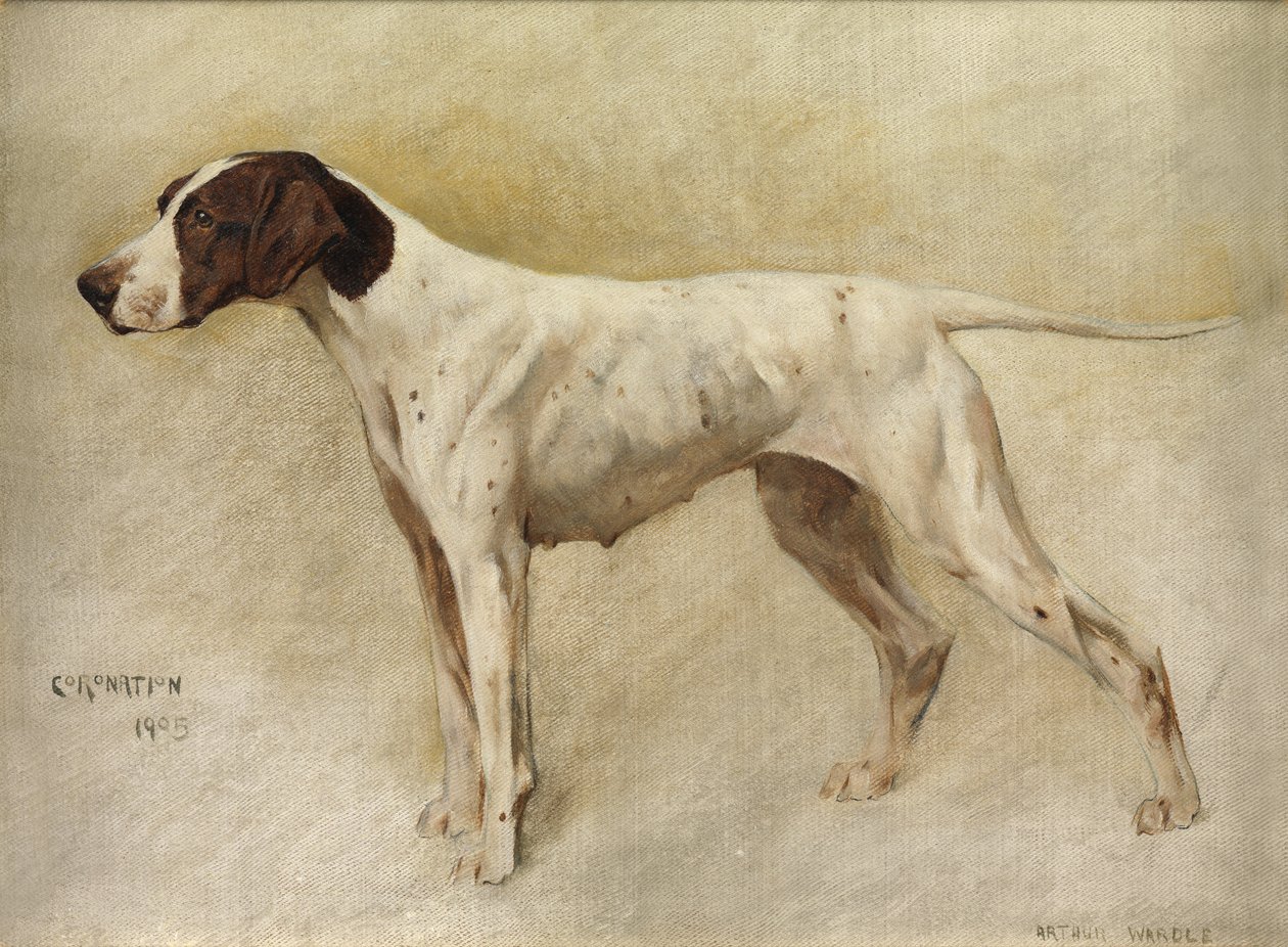 Koronacja autorstwa Arthur Wardle