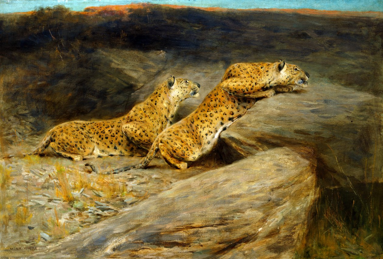 Łowcy jeleni (olej na płótnie) autorstwa Arthur Wardle