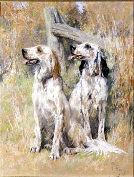 Setery angielskie przez Stile autorstwa Arthur Wardle