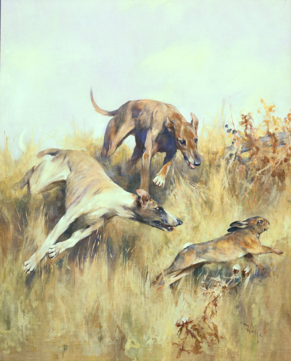 Greyhounds Giving Chase (gwasz na papierze) autorstwa Arthur Wardle