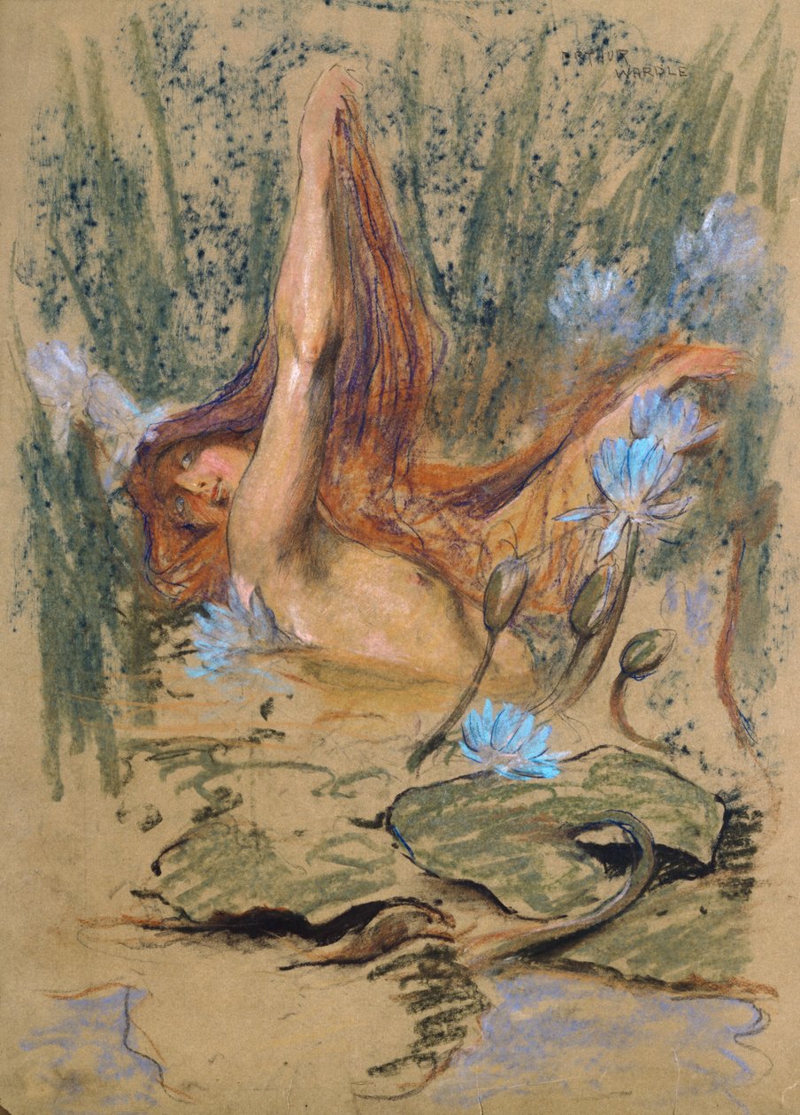 Nymphea, ok. 1890 (pastel, ołówek i akwarela na papierze) autorstwa Arthur Wardle