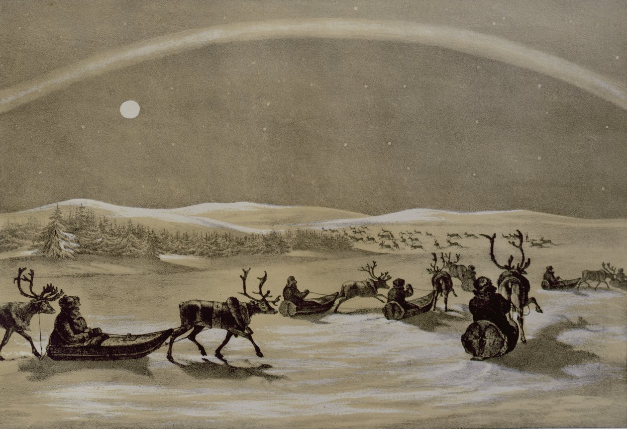 Wyjątkowy wygląd zorzy polarnej nad stadem reniferów Laponii przekraczających Jerdis Javri, z Winter Sketches w Laponii, rytowany przez Jamesa Duffielda Hardinga (1798-1863) 1825 (engraw autorstwa Arthur de Capell Brooke