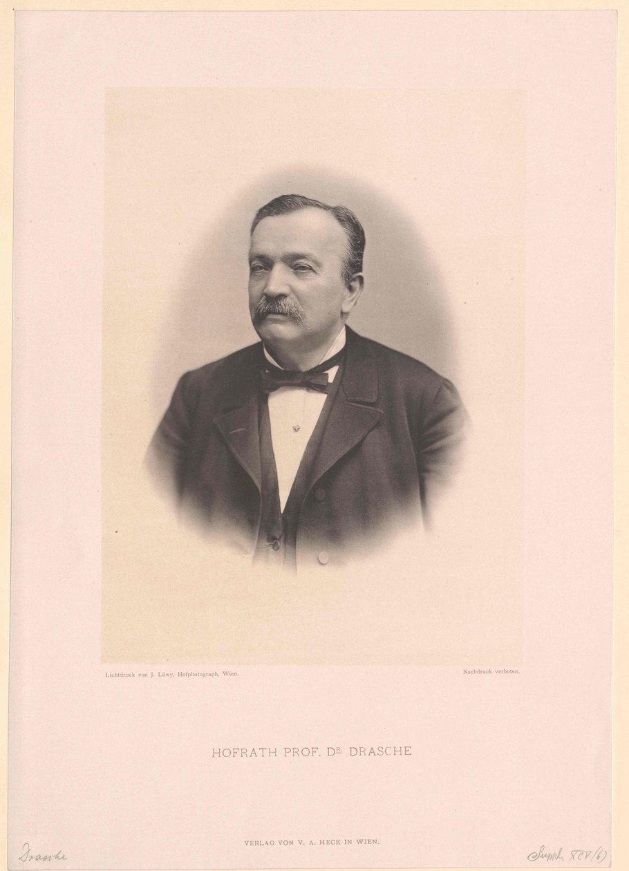 Anton Ritter Drasche autorstwa Artist Unknown