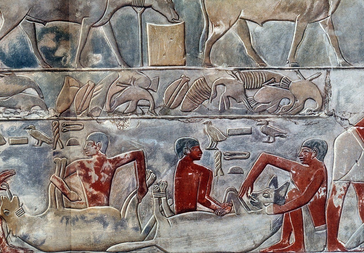 Sztuka egipska: gavage of a hyene. Kolegium jest podobne do mastaby Mereruka. autorstwa Artist Unknown