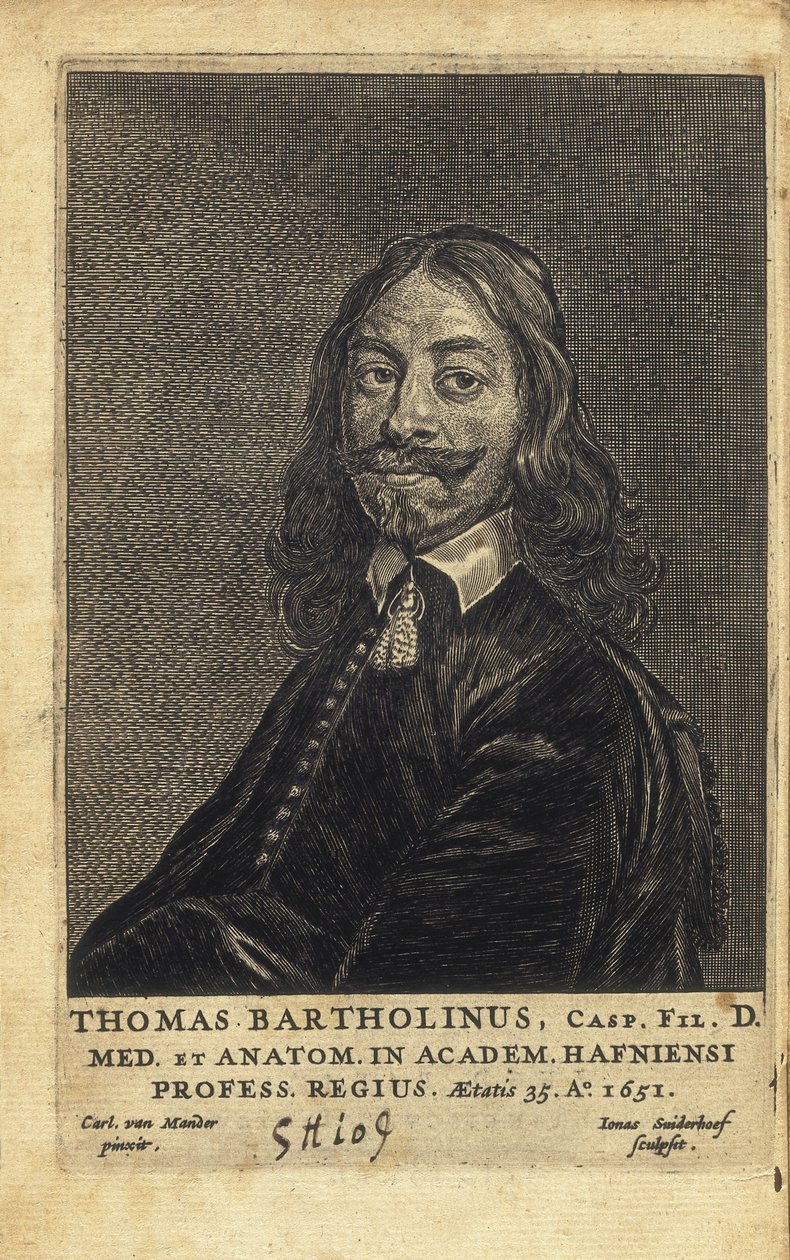 BARTHOLIN, Thomas (1616-1680). Duński lekarz, matematyk i teolog. Jest najbardziej znany ze swojej pracy nad odkryciem układu limfatycznego u ludzi oraz ze swoich postępów w teorii znieczulenia chłodniczego, będąc pierwszym, który opisał autorstwa Artist Unknown