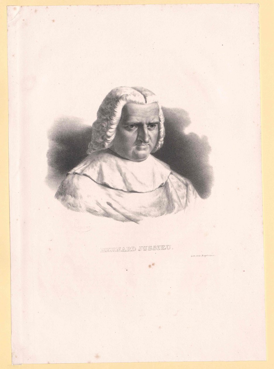 Bernard de Jussieu autorstwa Artist Unknown