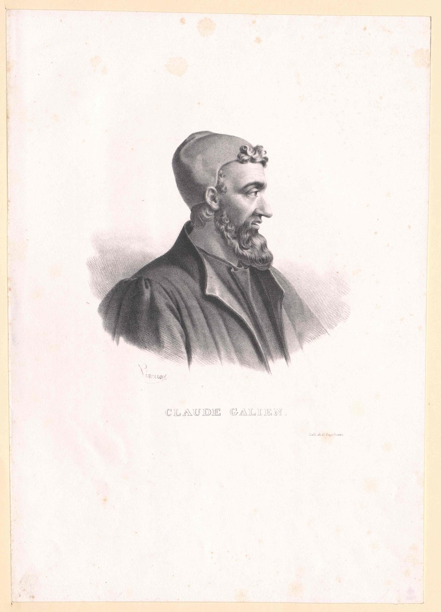 Galenus autorstwa Artist Unknown