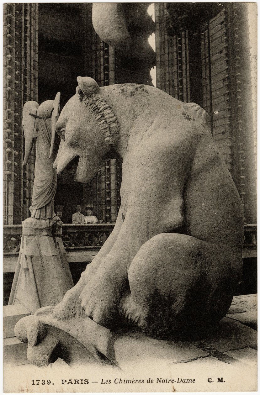 Gargulec lub chimere katedry Notre Dame de Paris, zbudowanej między 1163 a XIV wiekiem - Pocztówka, kolekcja Selva autorstwa Artist Unknown