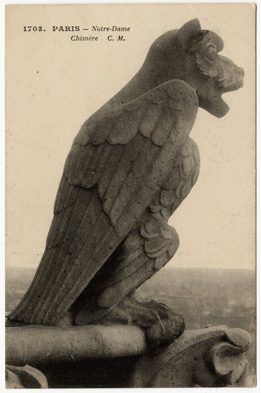 Gargulec lub chimere katedry Notre Dame de Paris, zbudowanej między 1163 a XIV wiekiem - Pocztówka, kolekcja Selva autorstwa Artist Unknown
