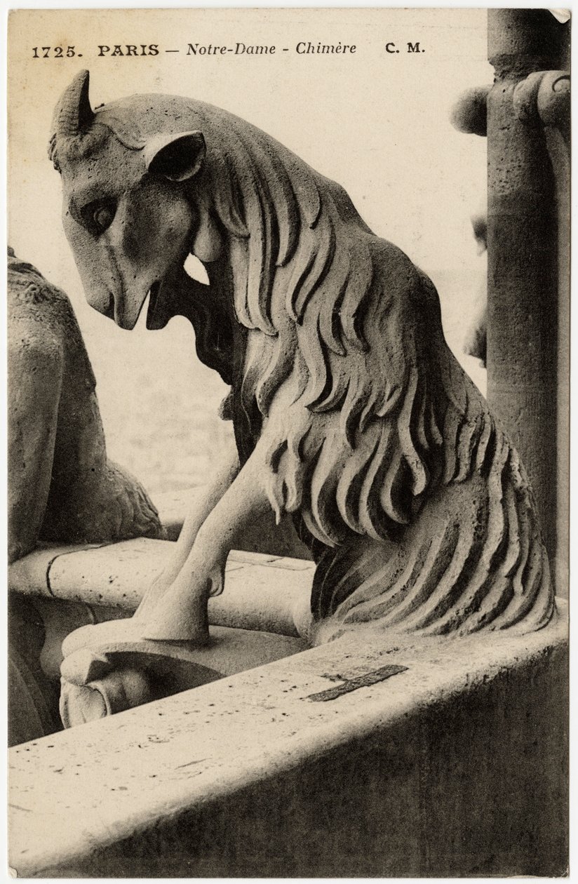 Gargulec lub chimere katedry Notre Dame de Paris, zbudowanej między 1163 a XIV wiekiem - Pocztówka, kolekcja Selva autorstwa Artist Unknown