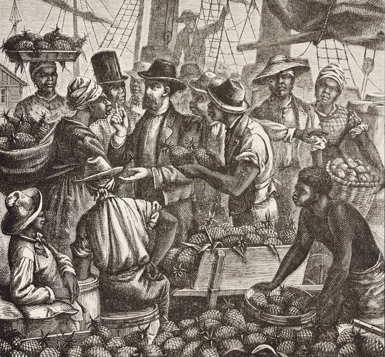 Historia Anglii (XIX w.). Kolonizacja (1880). Bahama sprzedający ananasy. Angielska kolonia na wyspie New Providence. Ananasy były jednym z najważniejszych produktów eksportowych z portu Nassau. Rycina. Kolekcja prywatna autorstwa Artist Unknown