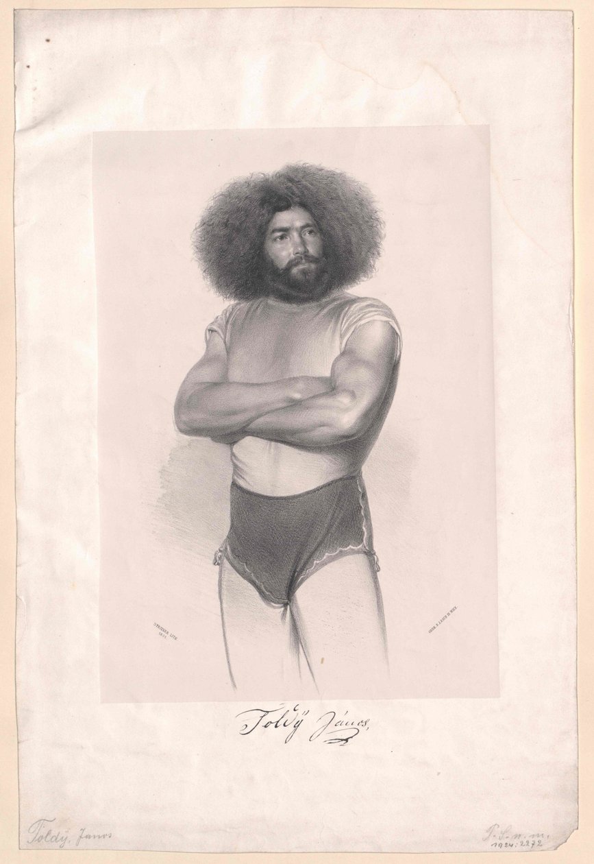 Janos Toldy autorstwa Artist Unknown