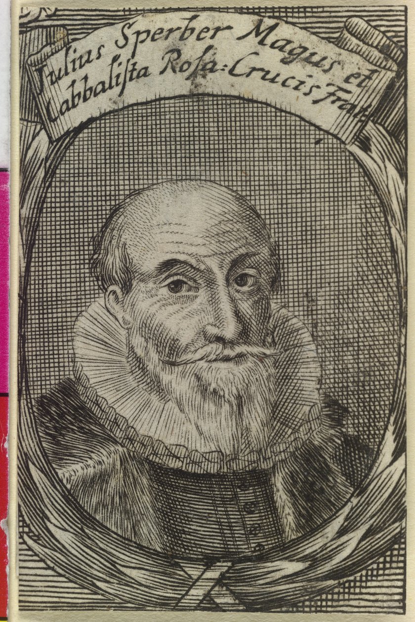 Krogulec Julius autorstwa Artist Unknown