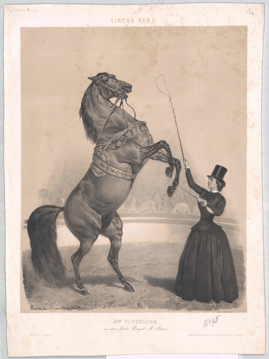 Żył około 1860 r. Tourniaire autorstwa Artist Unknown