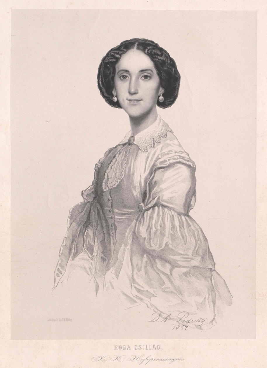 Różowa gwiazda autorstwa Artist Unknown