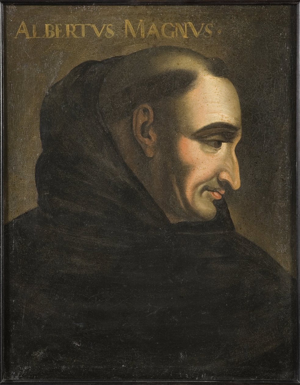 Święty Albert Wielki (Albrecht von Bollstadt lub Albert z Kolonii) (1200-1280) - Albertus Magnus (olej na płótnie) autorstwa Artist Unknown