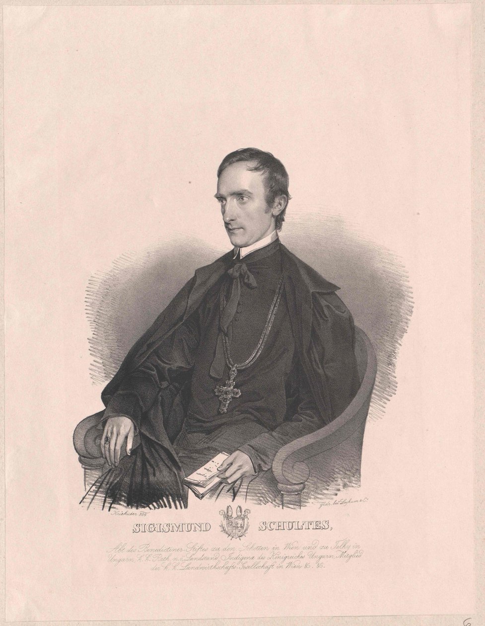 Zygmunt indoktrynuje autorstwa Artist Unknown