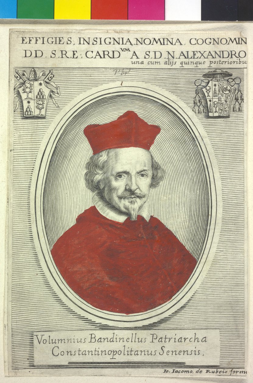 Volumnio Bandinelli autorstwa Artist Unknown