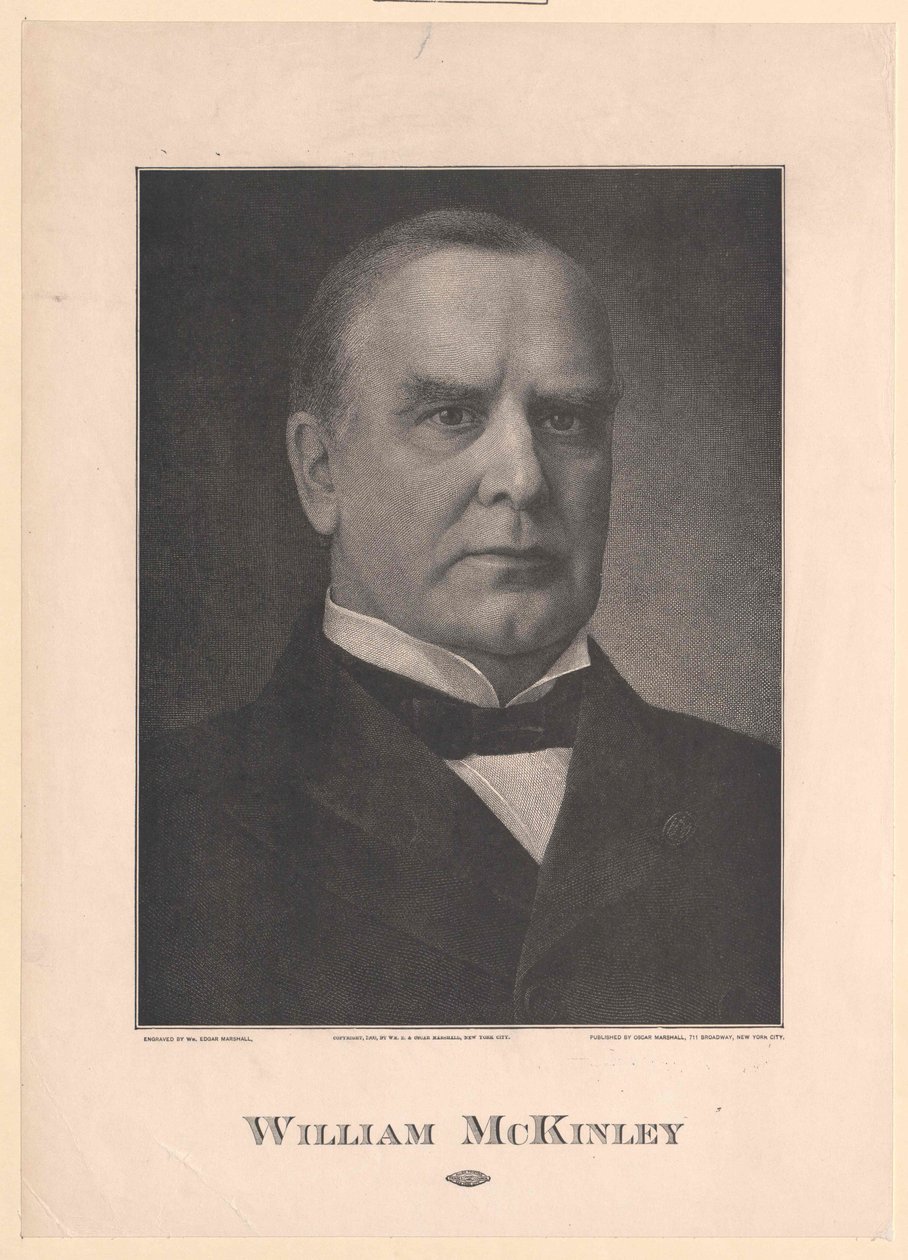William MacKinley autorstwa Artist Unknown
