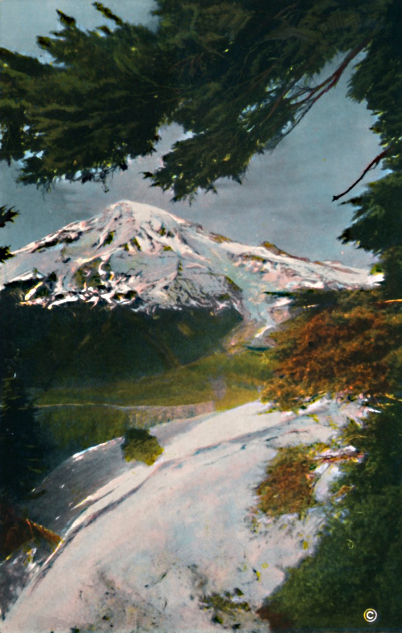 Góra Tacoma z Eagle Peak, Waszyngton, c1916 autorstwa Asahel Curtis
