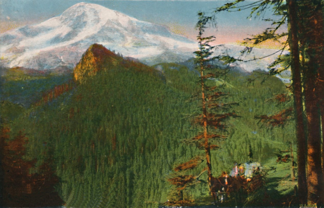 Droga w Rickseeker Point, Mount Rainier w oddali, Waszyngton, c1916 autorstwa Asahel Curtis