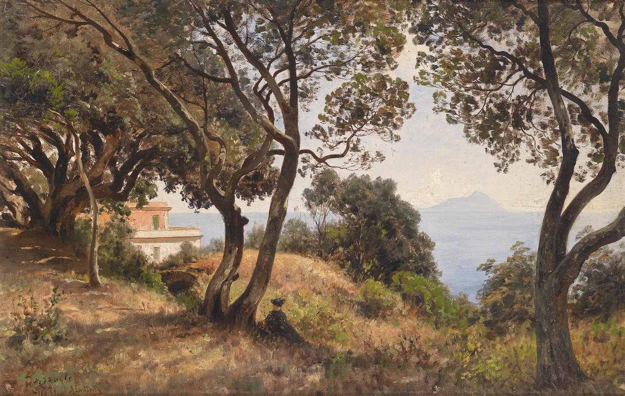 Ascan Lutteroth widok z południa 1889 autorstwa Ascan Lutteroth
