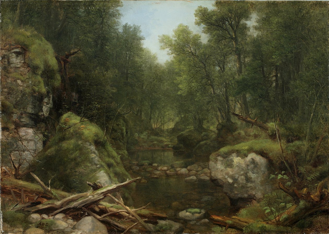 Chapel Pond Brook, Keene Flats, Adirondack Mountains, Nowy Jork, 1870 autorstwa Asher Brown Durand