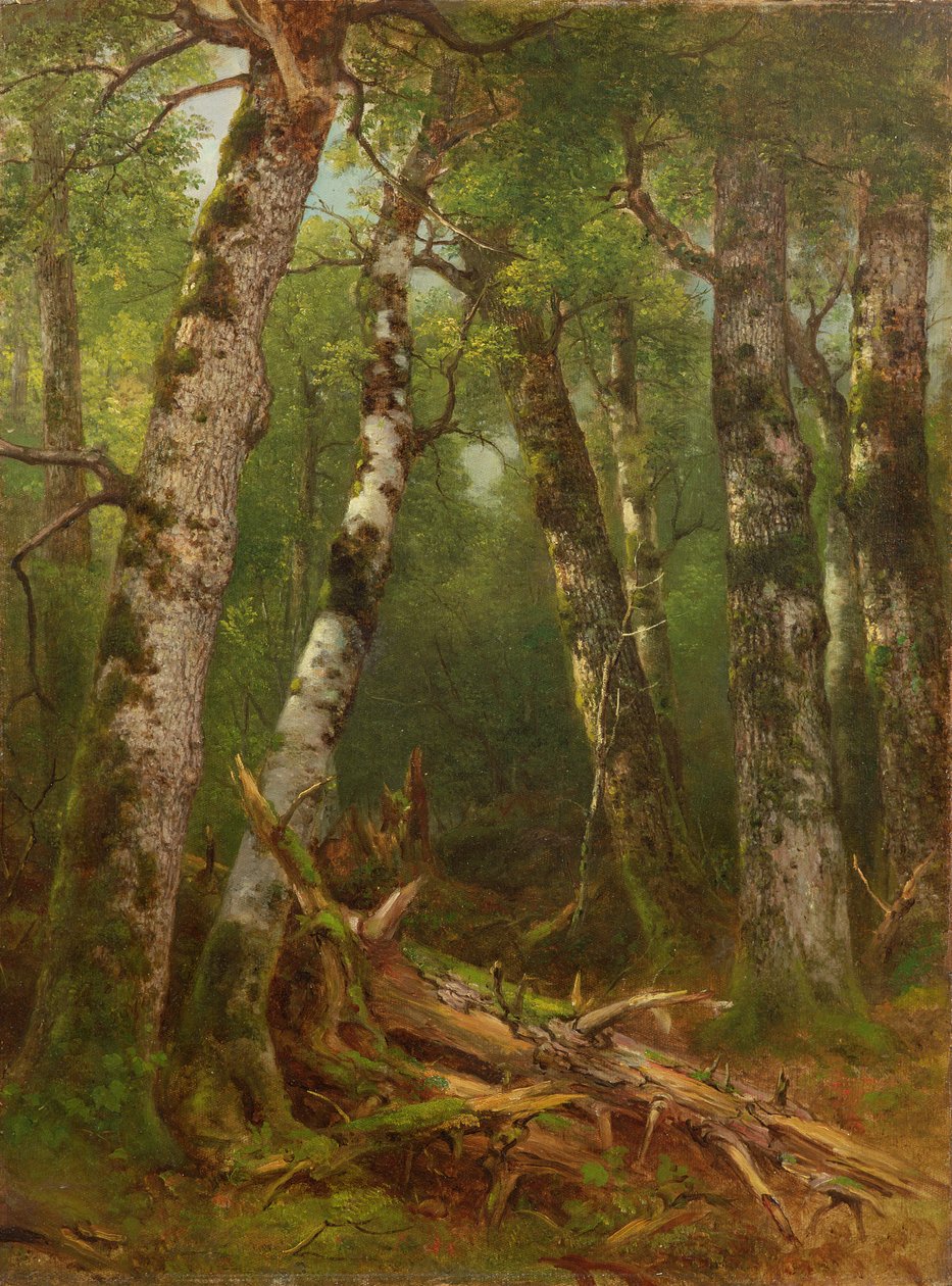 Grupa Drzew, 1855-77 autorstwa Asher Brown Durand