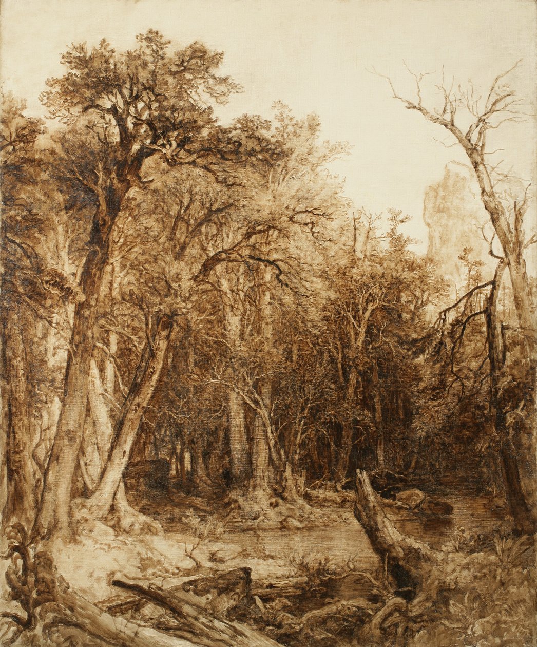 Puszcza, 1854 (olej na zagruntowanym płótnie) autorstwa Asher Brown Durand