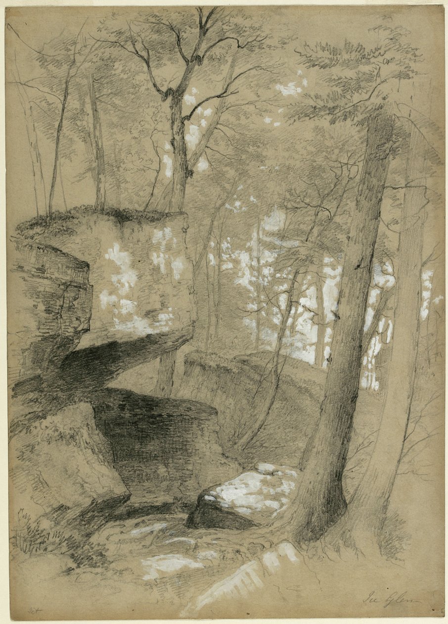 Studium skał i drzew w Ice Glen, Stockbridge, Massachusetts, 1851 (grafit i biały gwasz na beżowym papierze) autorstwa Asher Brown Durand