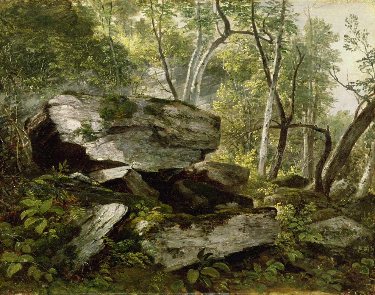 Badanie z natury: skały i drzewa, ok. 1856 r. autorstwa Asher Brown Durand