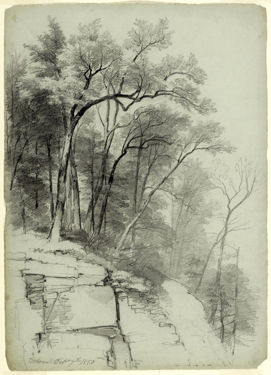 Study of Trees and Rocks, Catskill Clove, Nowy Jork, 1850 (grafit na szaro-zielonym papierze) autorstwa Asher Brown Durand