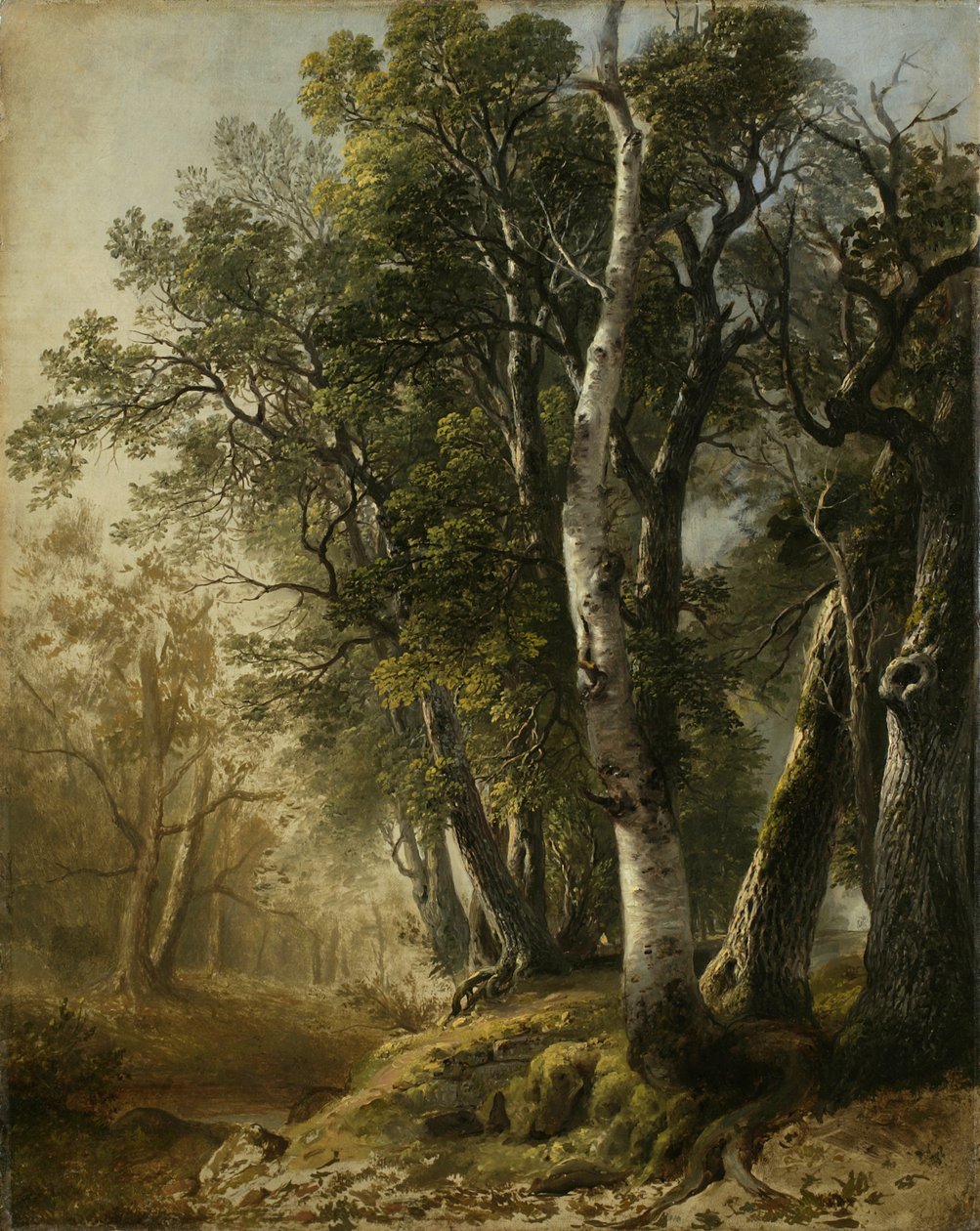 Trees by the Brookside, Kingston, N.Y., 1846 (olej na płótnie) autorstwa Asher Brown Durand