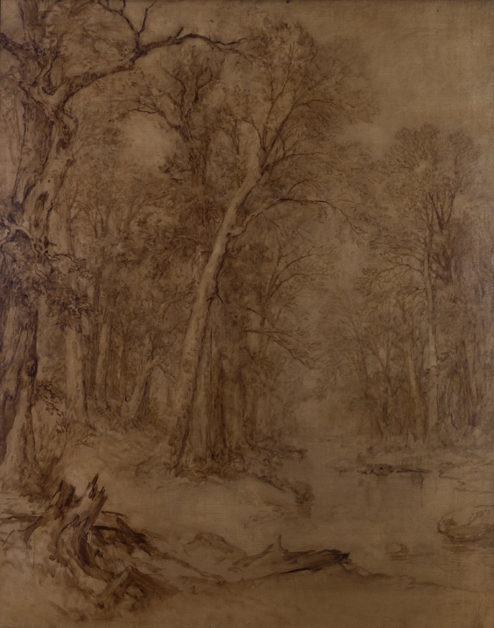 Woodland Brook, studium wstępne, 1859 (olej w sepii na płótnie) autorstwa Asher Brown Durand