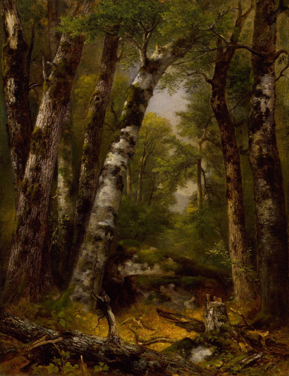Woodland Glen autorstwa Asher B. Durand